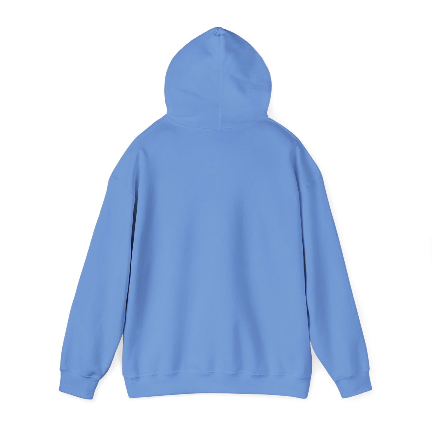 SKITZ Hoodie - Drain